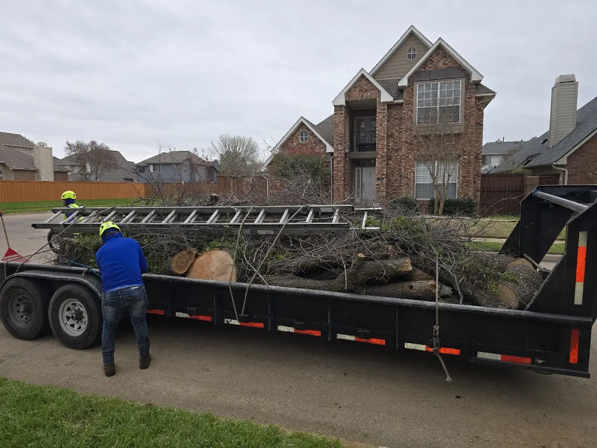 Expert Tree Fertilization with proper safety equipment in Deer Park